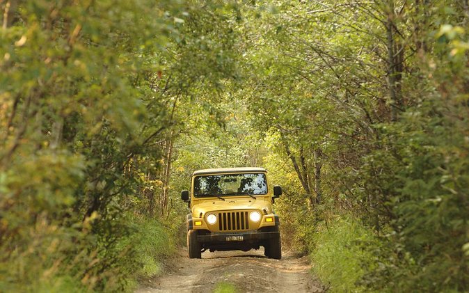 Bodrum Jeep Safari With Lunch - Traveler Information