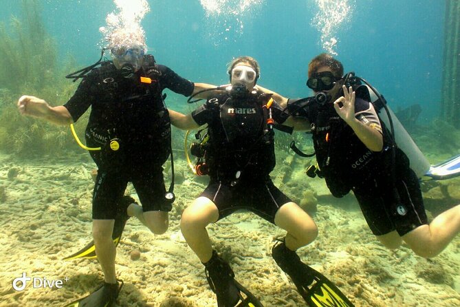 Discover Diving in Curaçao With Transportation Included - Cruise Passenger Meeting Point