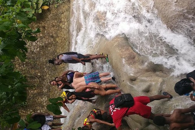 Dunns River Falls Scenic Tour - Private Guided Experience