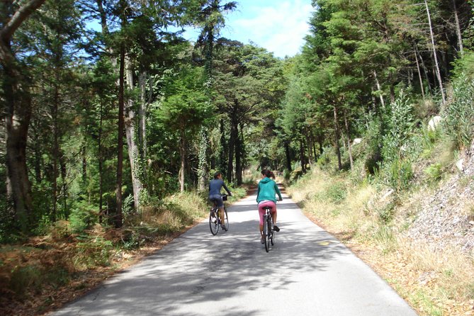 E-Bike Self-Guided Sintra - Cascais (Private Tour From Lisbon) - Transportation and Accessibility