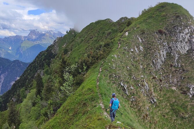 Exploring the Dolomites, One-Day Trekking in the Mountains - Pickup and Meeting Point