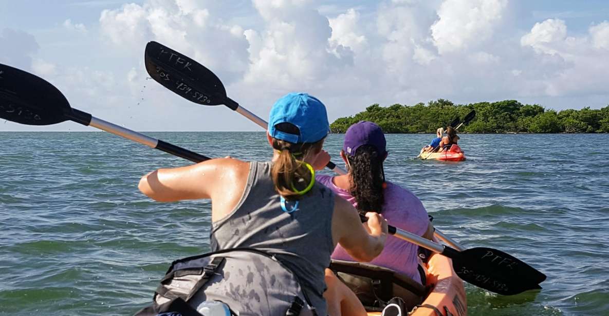 Florida Keys: Full-Day Kayak and Snorkel Reef Adventure - Guided Tours