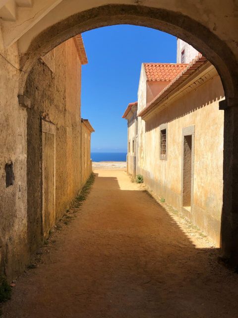 From Lisbon: Arrábida, Azeitão, Sesimbra, Palmela, Setúbal. - Taste Local Wines