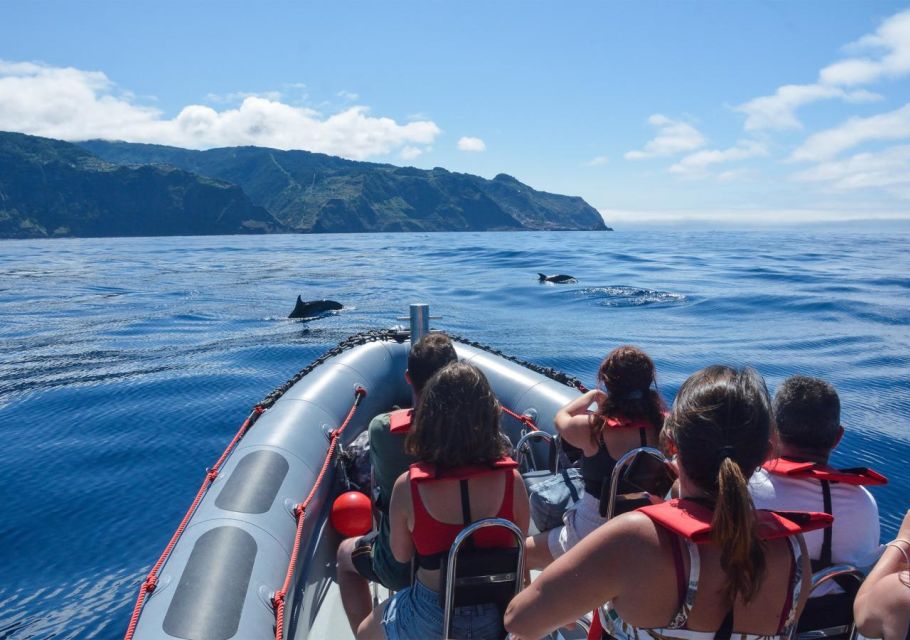 From Porto Moniz: Whale and Dolphin Watching Tour in Madeira - Duration and Pricing