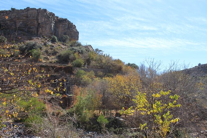 Full-Day Guided Tour to Jebel Akhdar - Exploring Jebel Akhdar