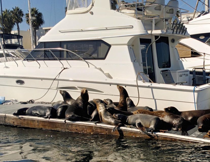 Fun Adventure Party Boat Cruise-Wine-Charcuterie & Sealions - Important Information