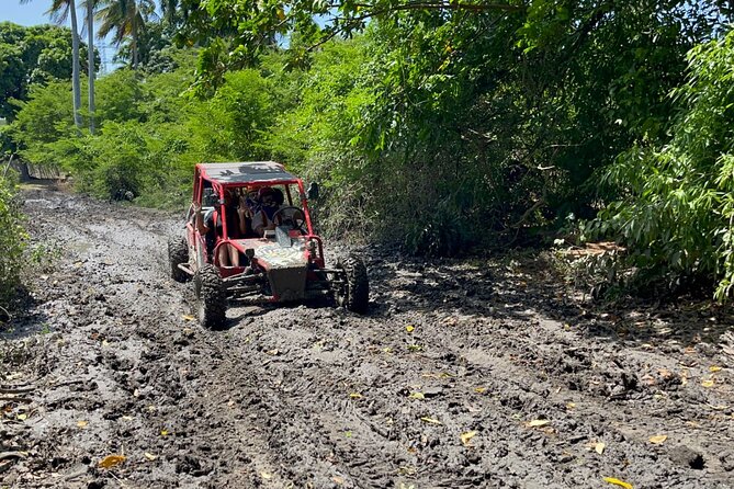 Half-Day Buggy Guided Adventure for Amber Cove and Taino Bay - Buggy Adventure Highlights