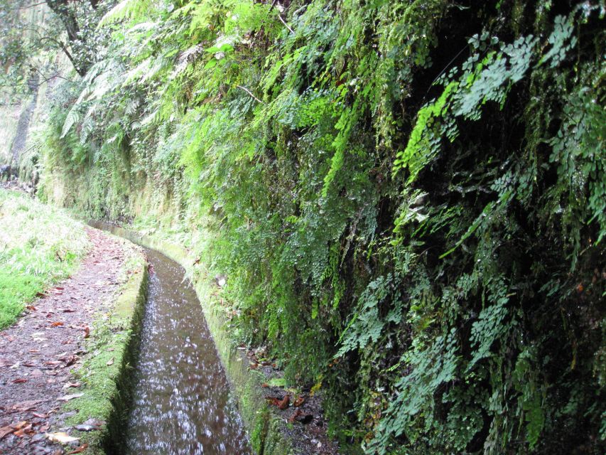 Hidden Corners, the Kings Levada Full Day Hike - Languages & Cancellation