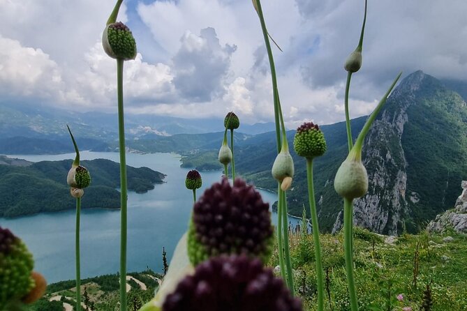 Hiking to Gamti, Bovilla Lake and Kruja Day Trip From Tirana - Natural Scenery and Landscapes