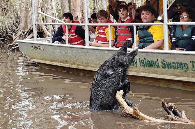 Honey Island Swamp Boat Tour - Customer Feedback and Recommendations