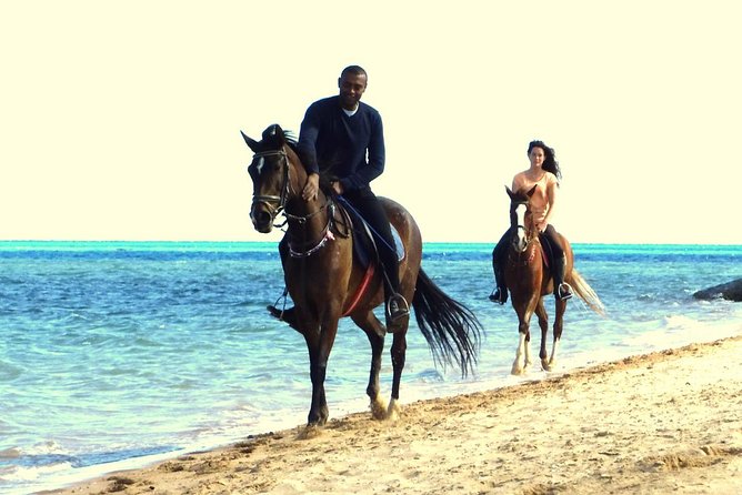 Horse Riding Tour 2 Hours Sea and Desert With Transfer - Hurghada - Group Size and Pricing