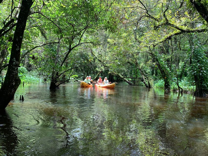 Jupiter: Loxahatchee River Scenic Kayak Tour - Booking and Cancellation