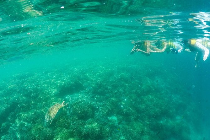 Kaneohe Sandbar Snorkeling Tour, 2nd Tour - Getting to the Meeting Point