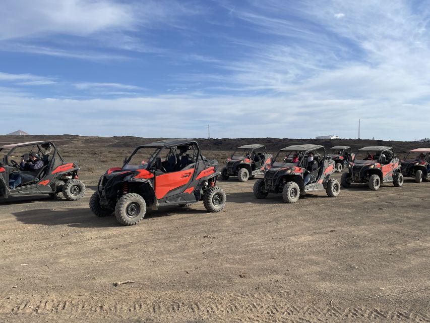 Lanzarote: Guided Can-Am Trail Buggy Tour - Instructor Languages