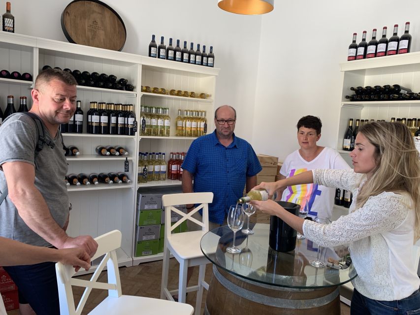 Lisbon Area Wine Tour - Wineries in Mafra and Region