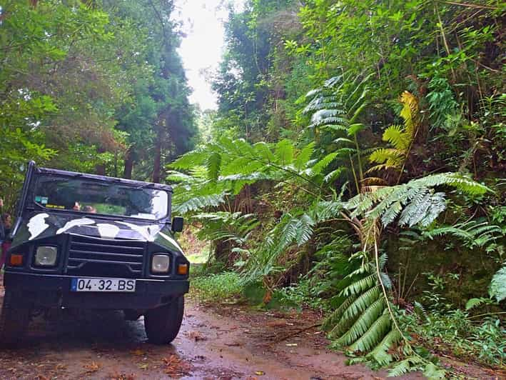 Madeira: Jeep Safari Tour - Jeep Safari Experience