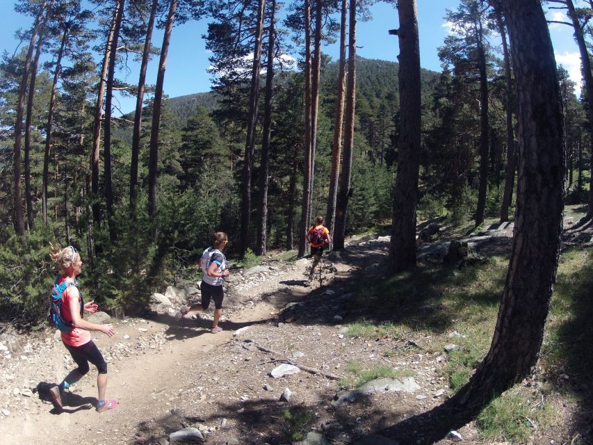 Madrid: Trail Running Day Trip - Customer Feedback