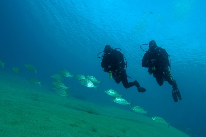 Make a Private Try Dive, for Your First Scuba Experience! - Confirmation and Transportation Details