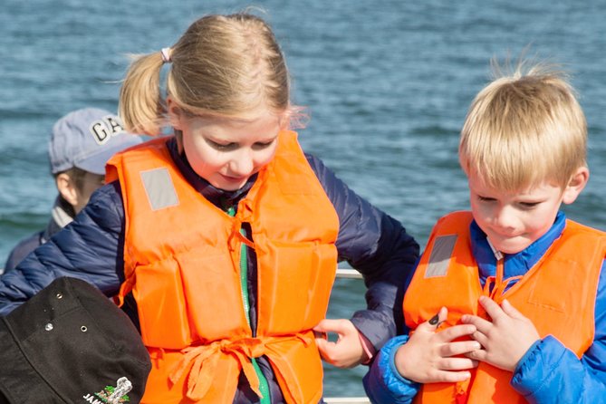 Marine Dolphin Seal Cruise - Accessibility and Transportation