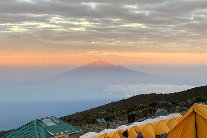 Mt. Kilimanjaro Climb - 8 Day Lemosho Route - Traveler Recommendations