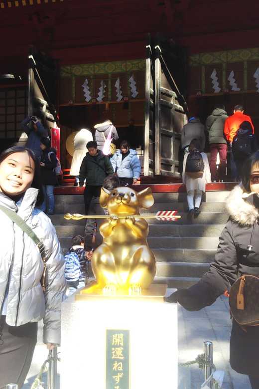 Nikko Private Walking Tour Review - Inclusions and Accessibility