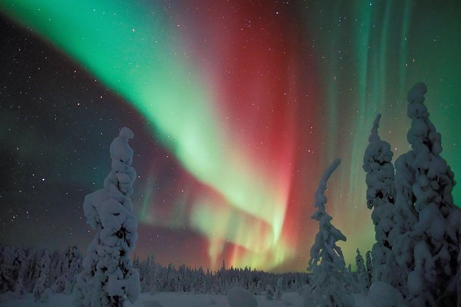 Northern Lights Snowmobile Safari From Rovaniemi With Campfire Picnic - Experience the Northern Lights