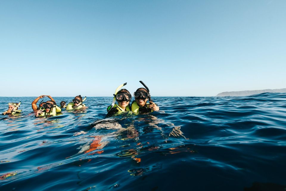 Oahu: Dolphin Swim and Snorkeling Speedboat Tour - Cruise the West Coast