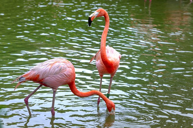 Pink Lakes & Sand Dunes of Baní - Unique Private Full-Day Tour - Exploring the Pink Lakes