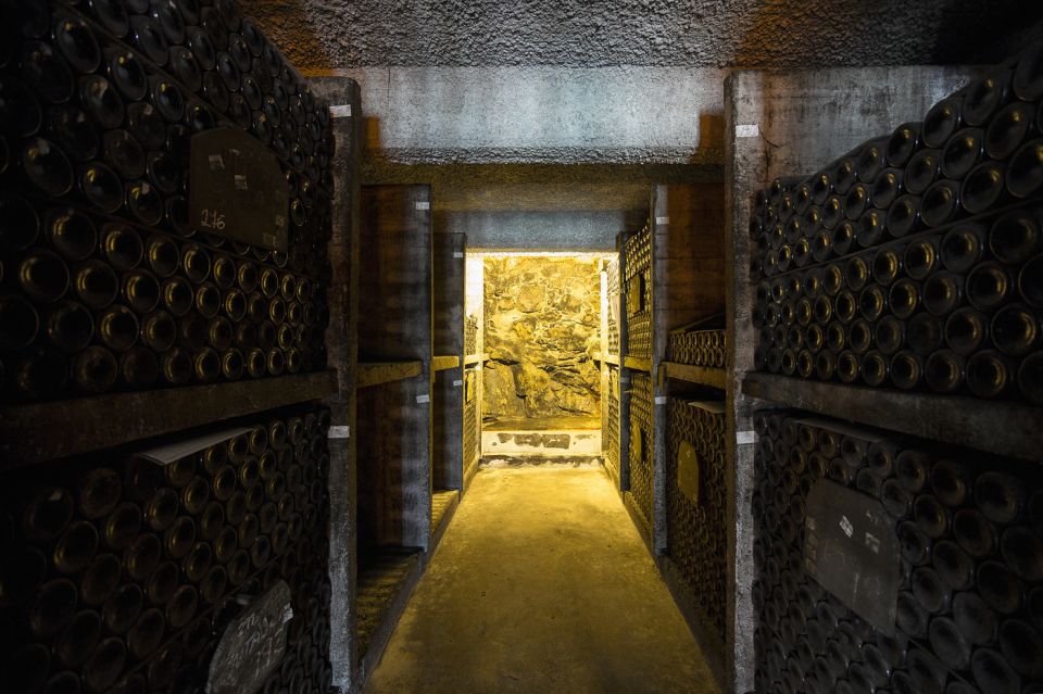 Porto: Burmester Cellar Tour With Tasting & Pairing Options - Wine Service Restrictions