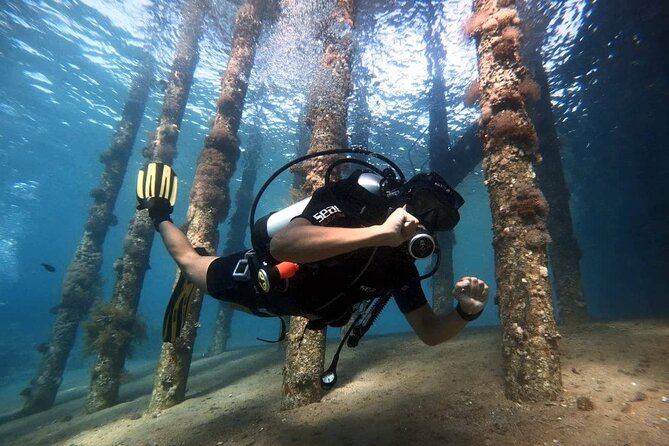 Private Diving Experience in The Heart of Red Sea in Aqaba - Guide and Language Support