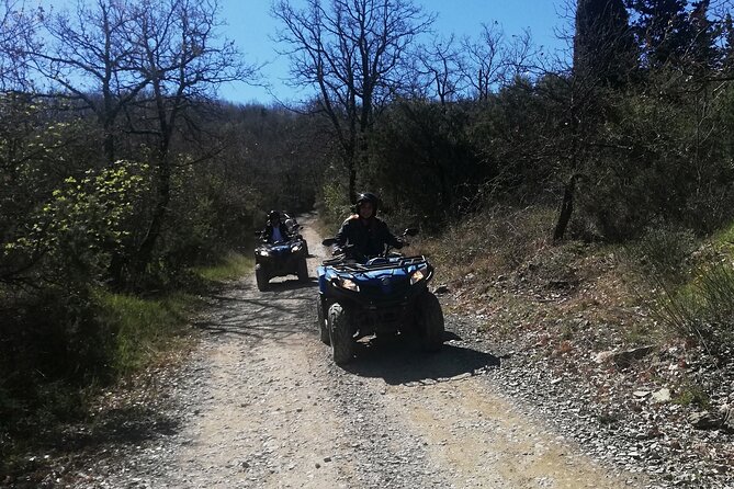 Quad Tour ATV Adventure in Chianti. Lunch and Wine Tasting - Reviews