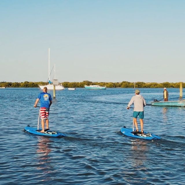 St. Augustine: Standup Pedal-boarding Dolphin Tour - Tour Itinerary