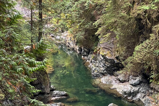 Vancouver Rainforest Hike With Waterfalls, Suspension Bridge, Old Growth Forest - Physical Requirements