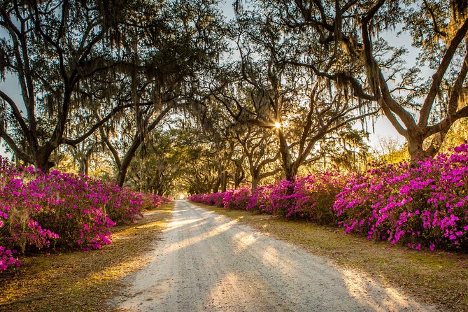 Wormsloe Historic Site & Bonaventure Cemetery Tour From Savannah - Cancellation Policy