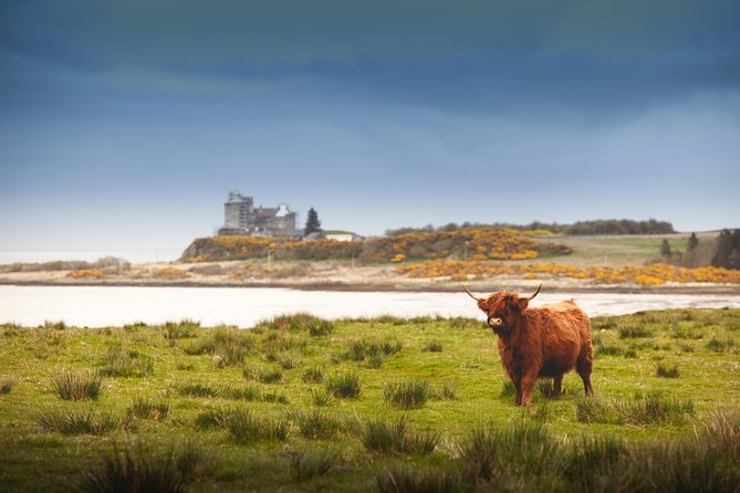 4-Day Magical Mull, Iona & West Highlands Small-Group Tour From Edinburgh - Additional Information