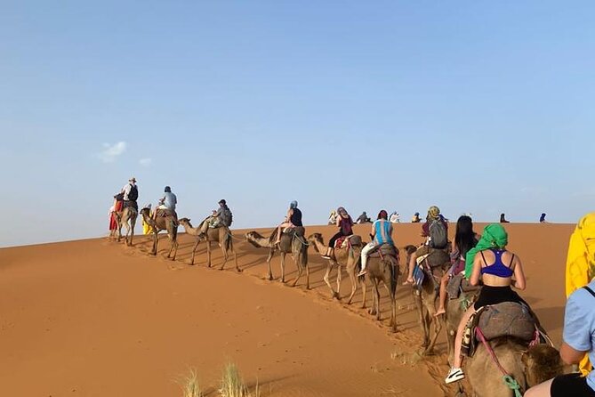 4 Days Desert Tour From Marrakech to Fes via Merzouga Dunes - Accommodations and Meals