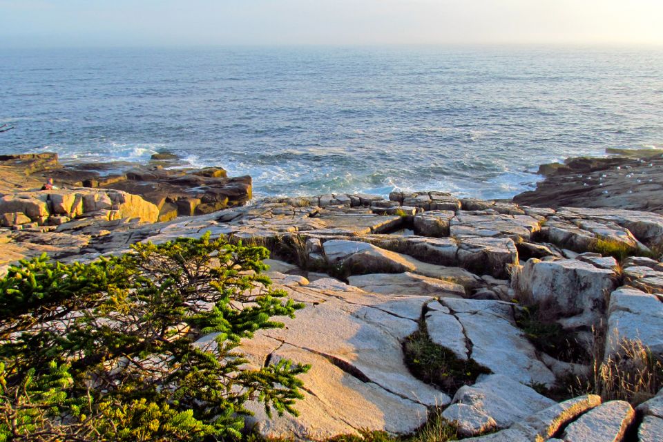 Acadia: Bar Harbor & Ocean Path Self-Guided Audio Tours - Tour Highlights