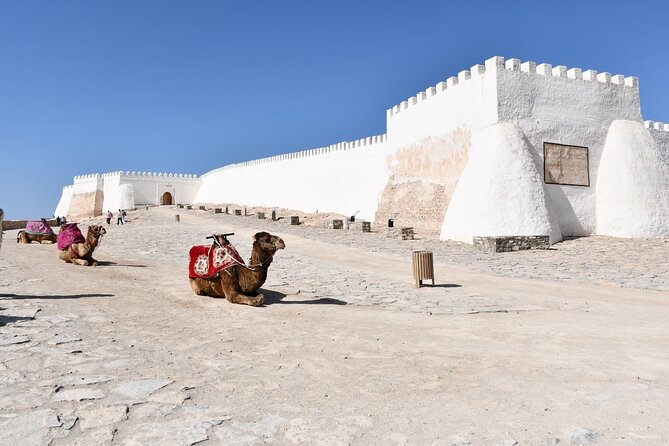 Agadir Private Sightseeing & Medina Polizzi Discovery - Accessibility Features