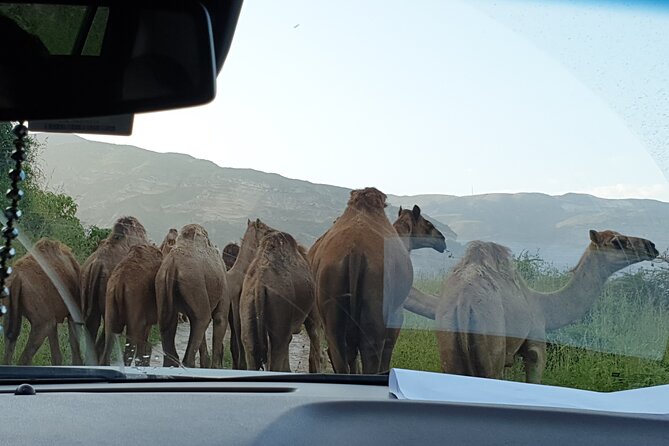 Ayn Khor Waterfall Adventure and Fazayah Beach Shore Excursion - Guide and Transport