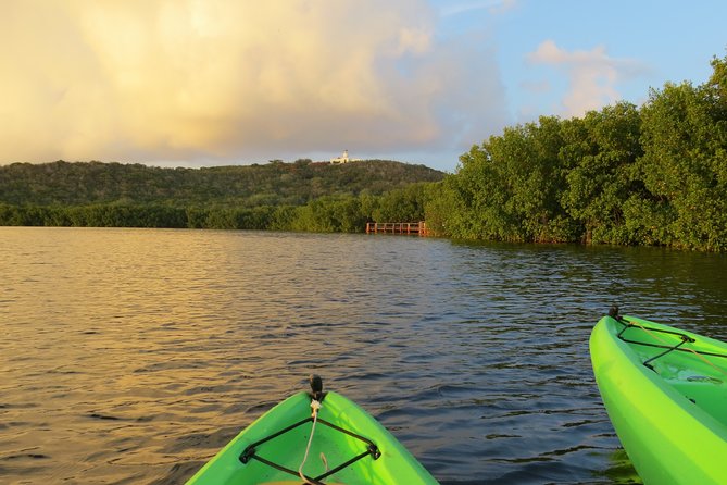 Bioluminescent Glowing Bay Kayaking Adventure in Puerto Rico - Participant Restrictions