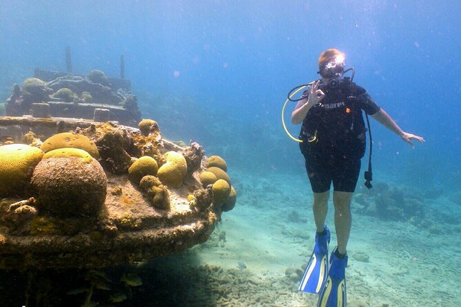 Discover Diving in Curaçao With Transportation Included - Activity End Point