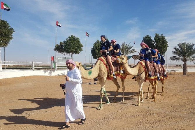 Dubai Desert Safari With Camel Riding, Sand Boarding,Bbq Dinner and 3 Live Shows - Accessibility and Recommendations