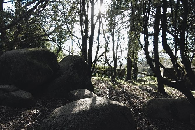 Epic Off-Road Adrenaline in Sintra - Memorable Moments