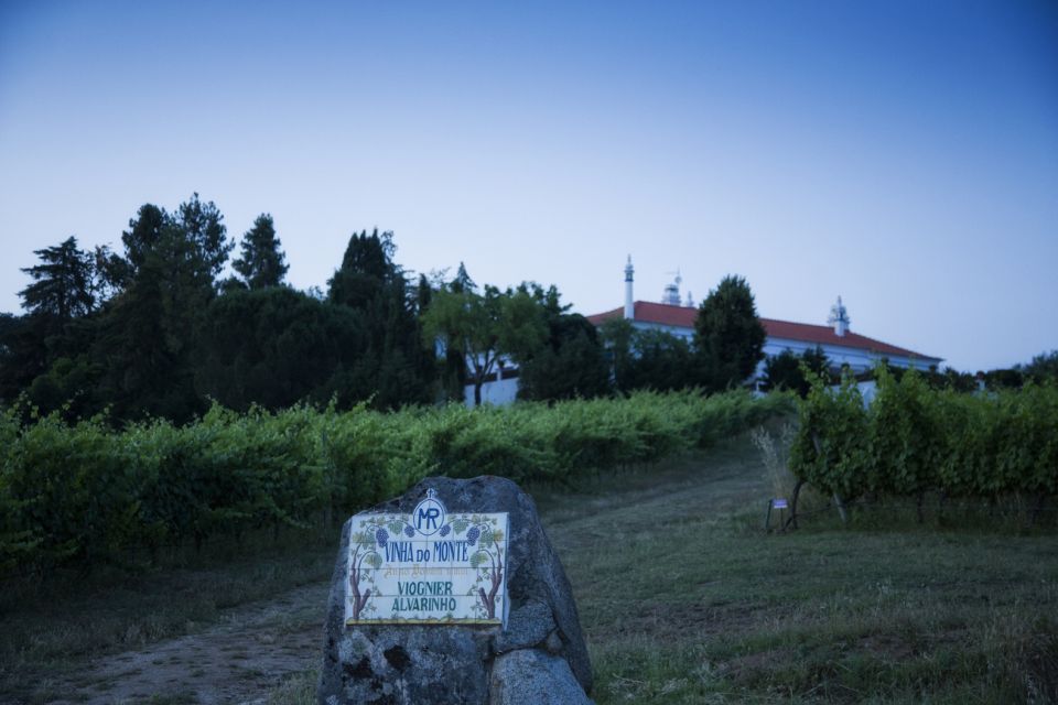 Évora: Full-Day Wine Tour - Wine Tasting Experience