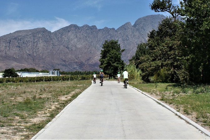 Franschhoek Sip & Cycle Experience Full Day - Private Tour - Cycling Adventure