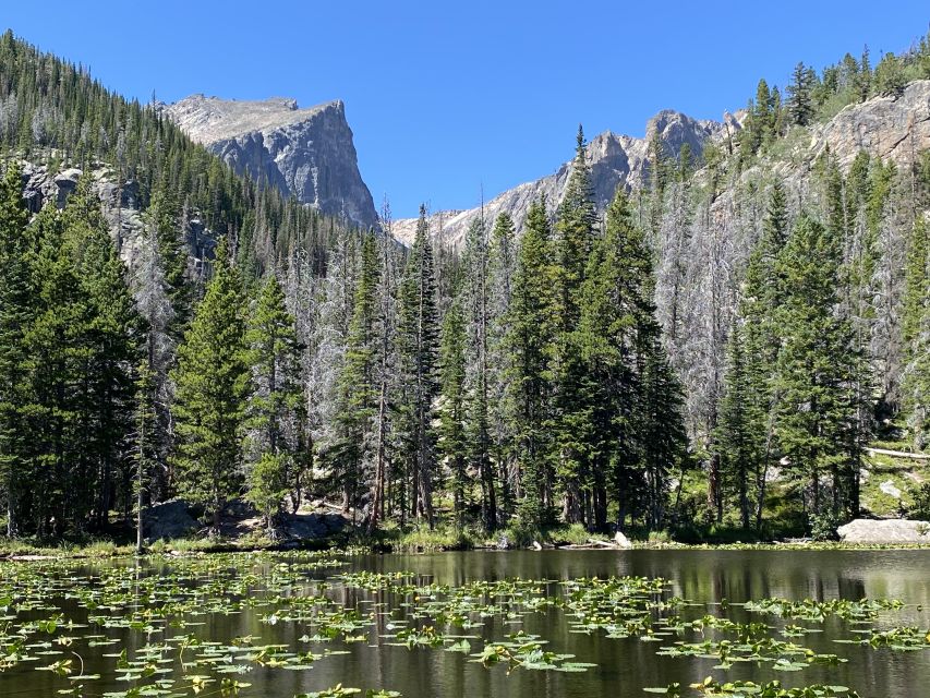 From Denver: Rocky Mountains Jeep Tour With Picnic Lunch - Booking Details