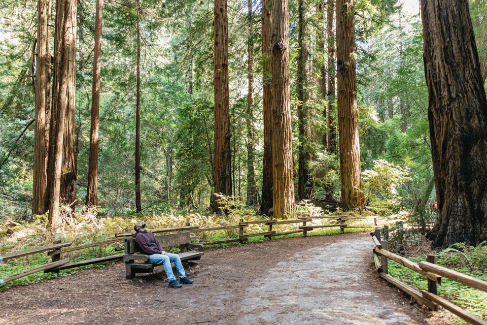 From San Francisco: Muir Woods National Monument Guided Tour - Exploring Muir Woods