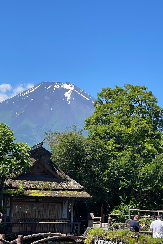 From Tokyo: Private Mt. Fuji Tour With Guide - Customizing the Itinerary