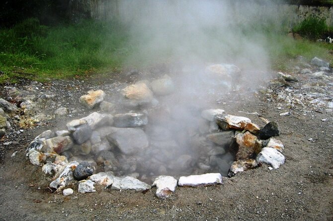 Full-Day Furnas Tour: Lake, Fumaroles and Thermal Pools 4x4 - Visit the Tea Factory