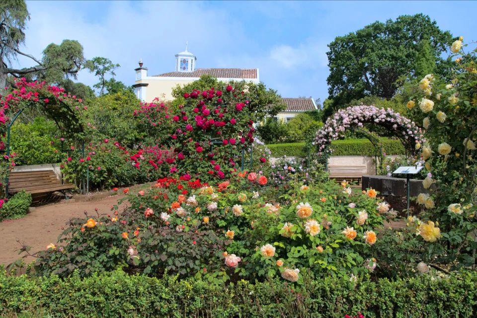 Funchal: Palheiro Gardens and Old Town Private Tuk Tuk Tour - Pickup and Drop-off Service